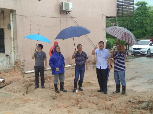 江门市国土资源局赴鹤山一线督查，全力筑牢台风“天鸽”期间地质灾害防治安全屏障