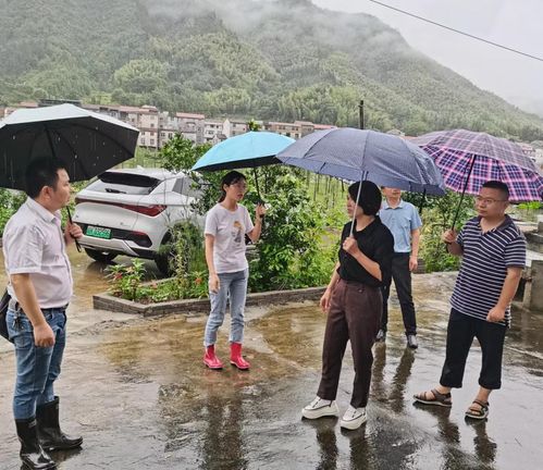 宿松县资规局召开地质灾害防治工作会议，全面提升地质灾害治理服务水平