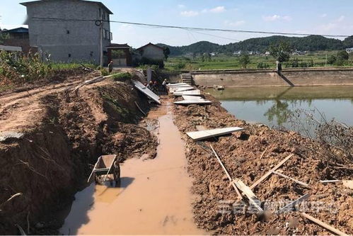 立新初中地质灾害隐患点治理稳步推进，预计9月底全部完工